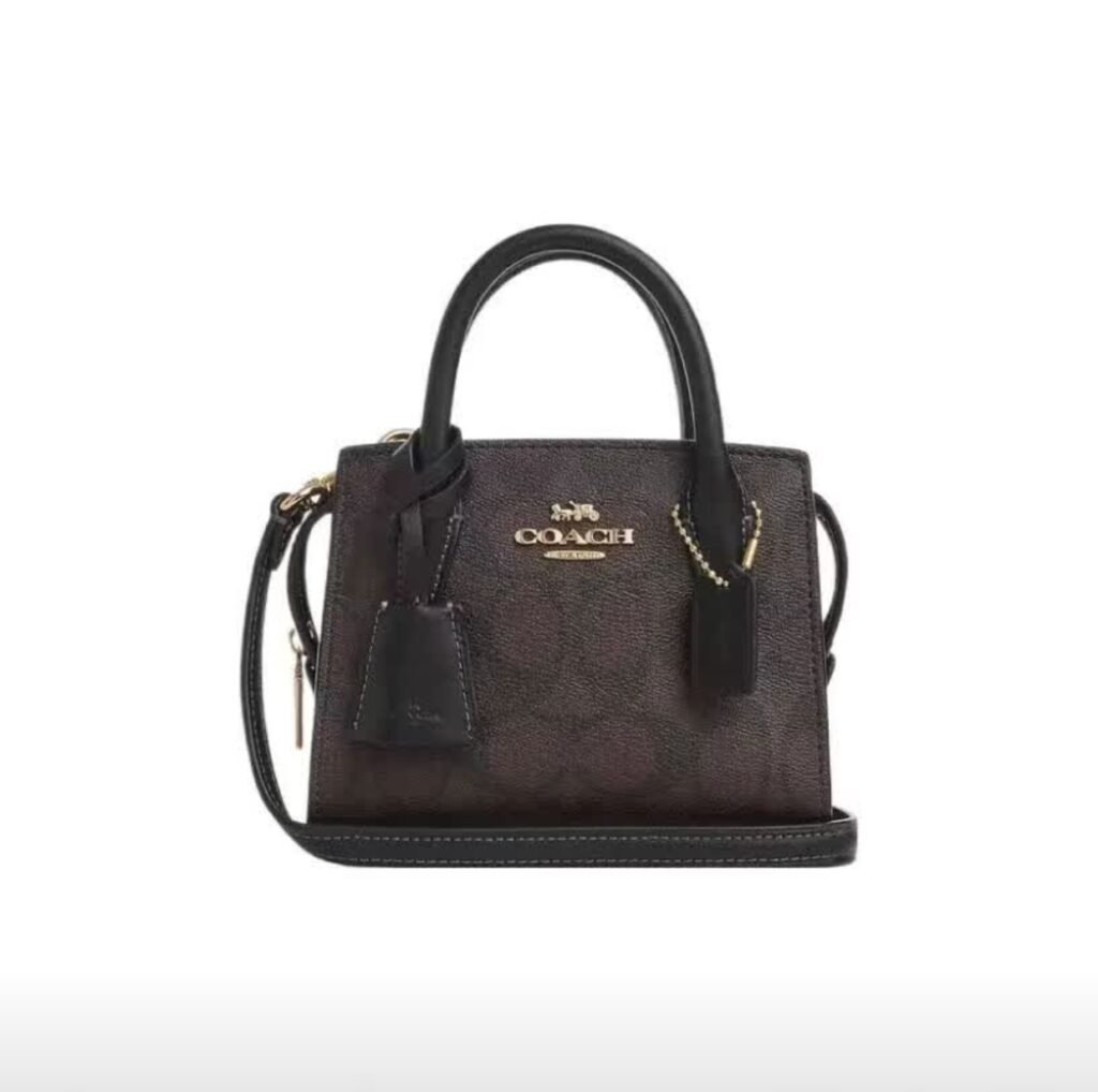 Andrea Carryall BagC0975