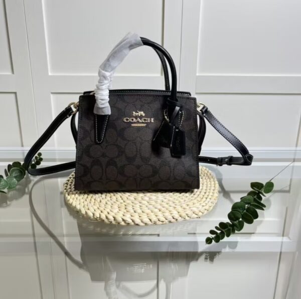 Andrea Carryall BagC0975 - Image 3