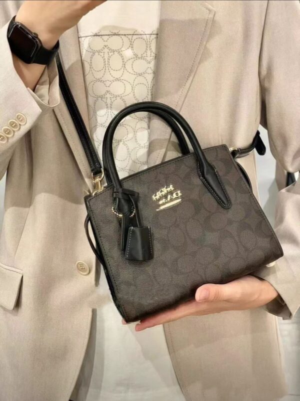 Andrea Carryall BagC0975 - Image 2