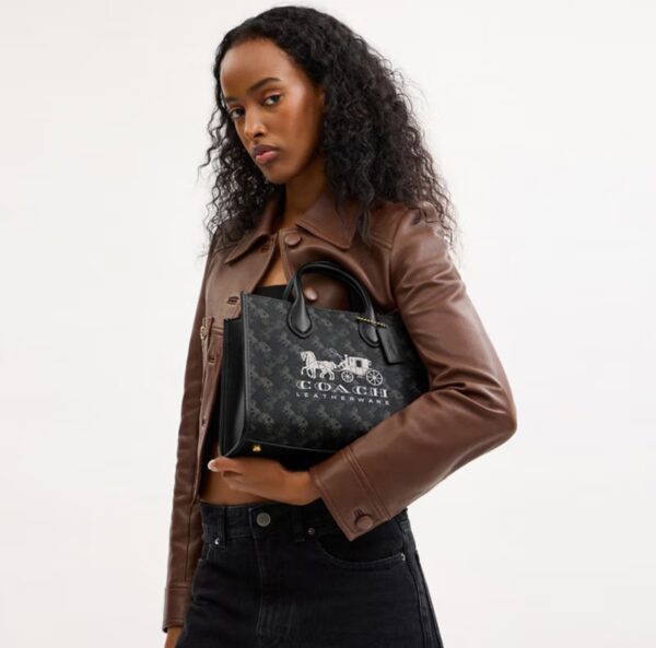 Carriage pattern printing ACE 26 tote bag - Image 7