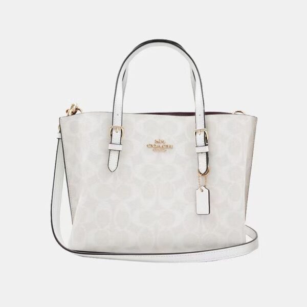 COACH Ole ladies printed MOLLIE series shoulder handbag C4250